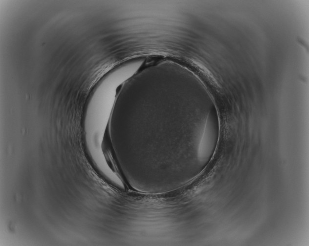 X0000091010977200708241508