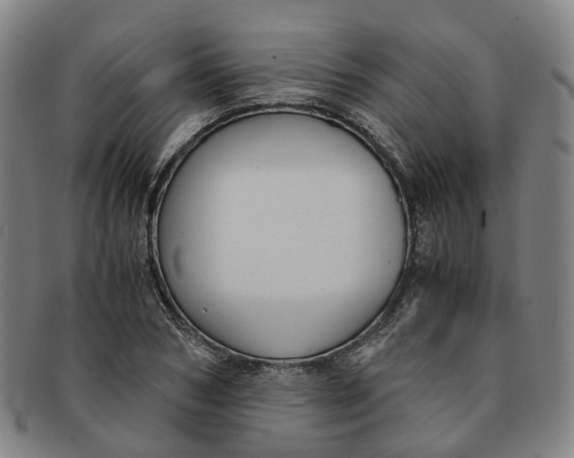 X0000091010978200708241508