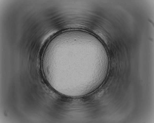 X0000091010979200708241508