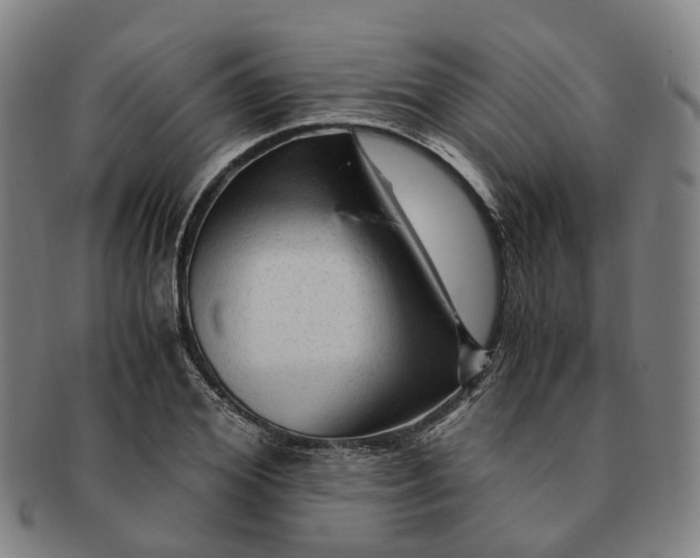 X0000091010980200708241508