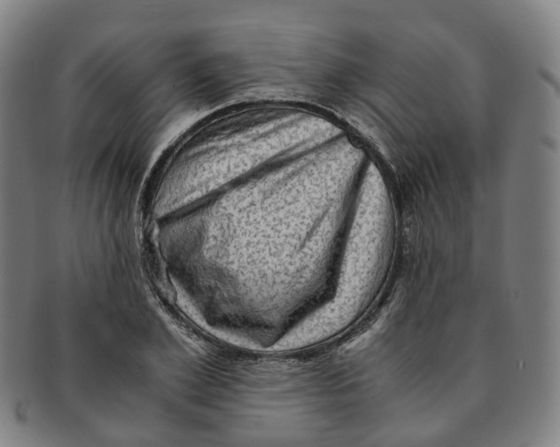 X0000091010981200708241508