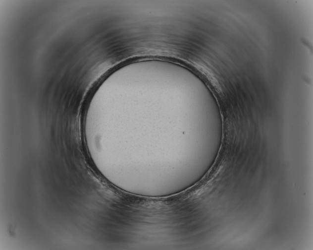 X0000091010982200708241508