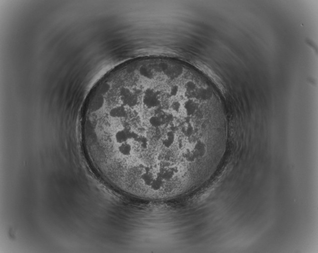 X0000091010983200708241508