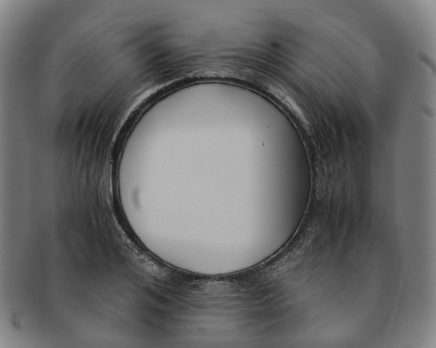 X0000091010984200708241508