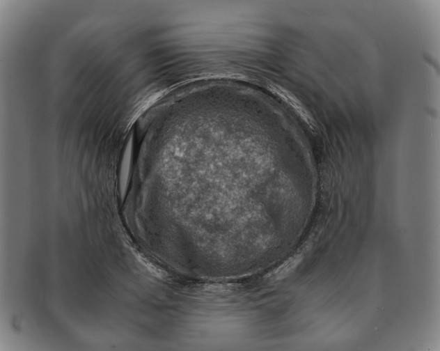 X0000091010985200708241508