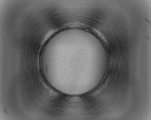 X0000091010986200708241508