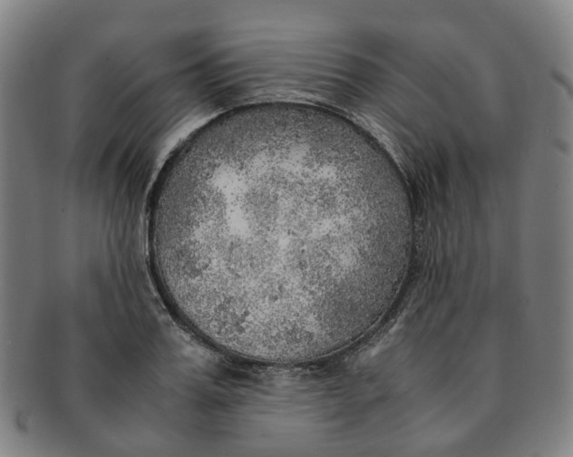 X0000091010987200708241508