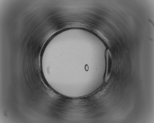 X0000091010988200708241508