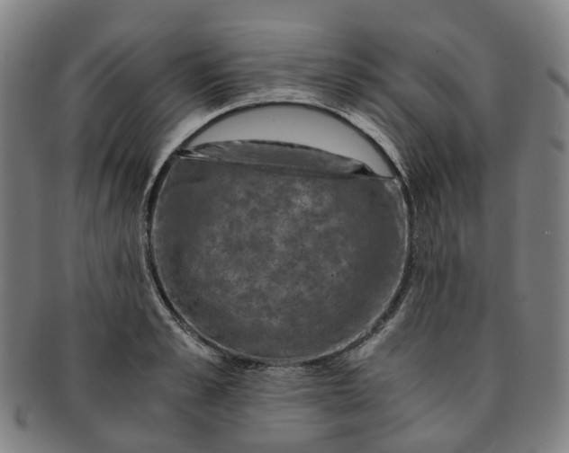 X0000091010989200708241508