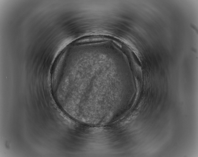 X0000091010990200708241508