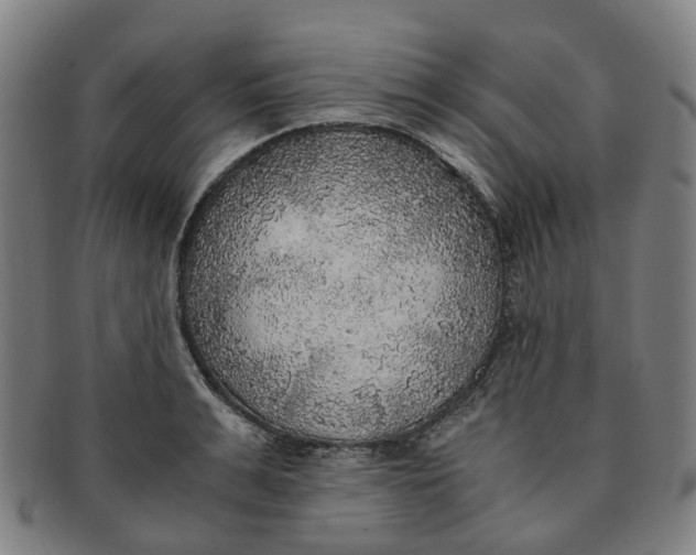 X0000091010991200708241508