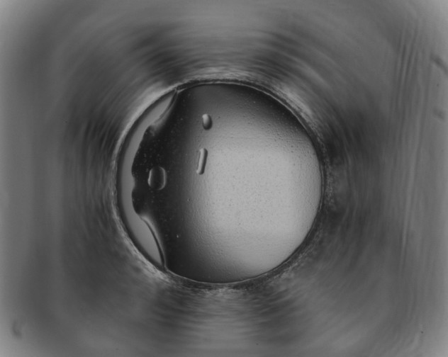 X0000091010992200708241508