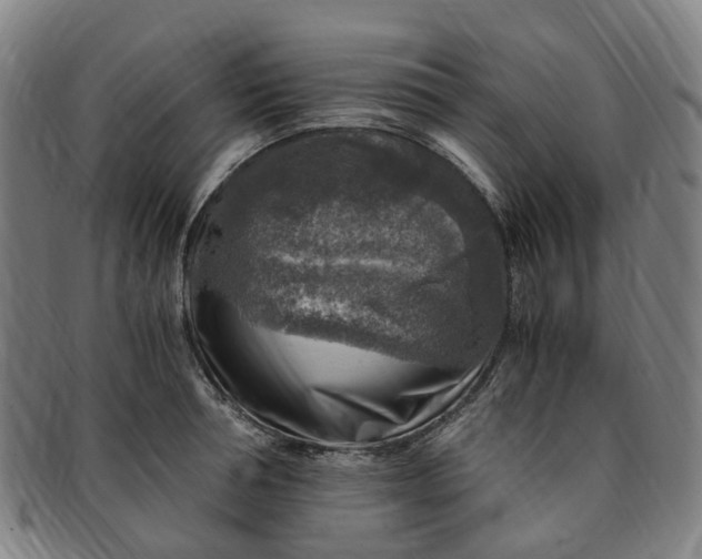 X0000091010994200708241508