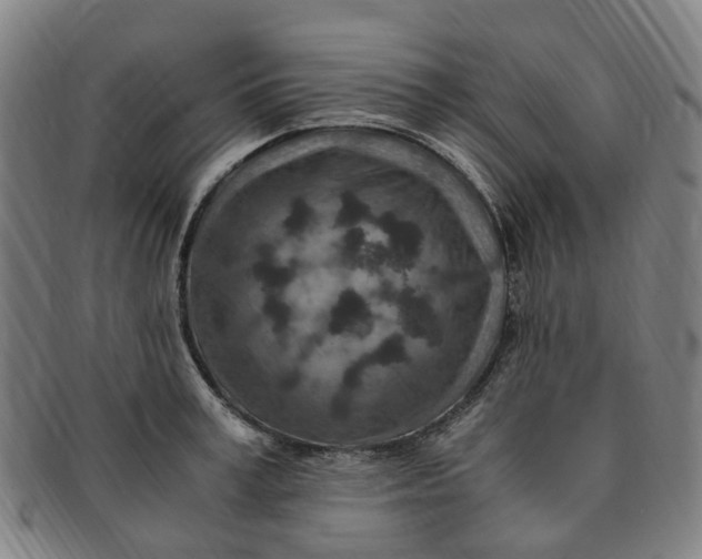 X0000091010995200708241508