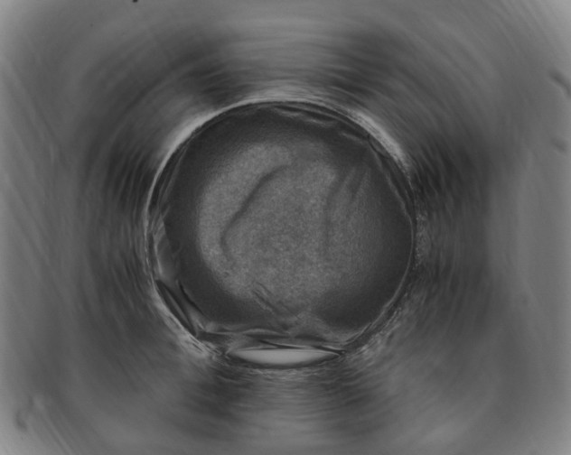 X0000091010996200708241508