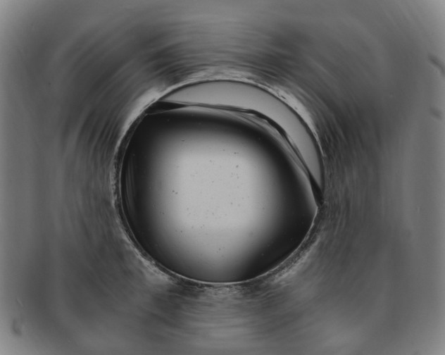 X0000091010997200708241508