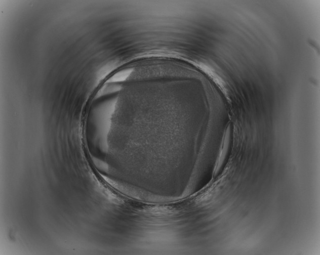 X0000091010998200708241508