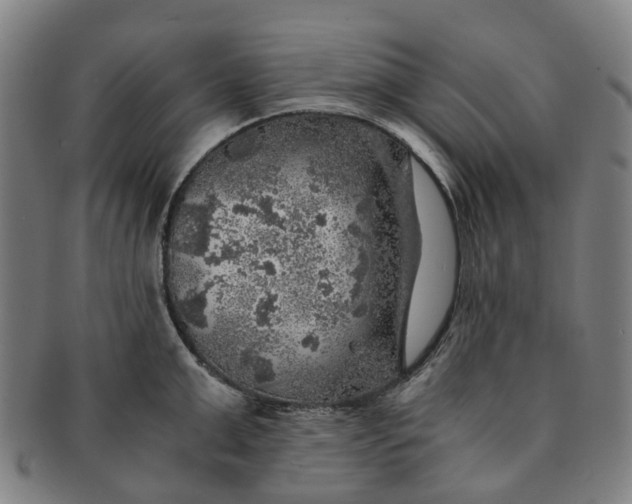 X0000091010999200708241508