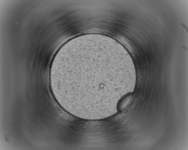 X0000091011000200708241508