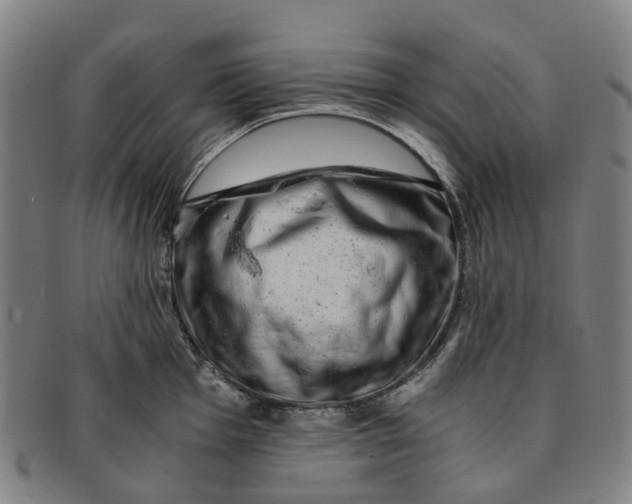 X0000091011001200708241508