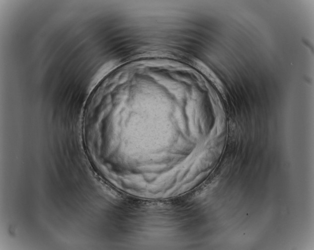 X0000091011002200708241508