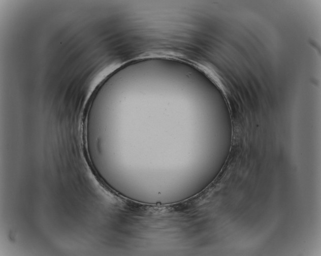 X0000091011003200708241508