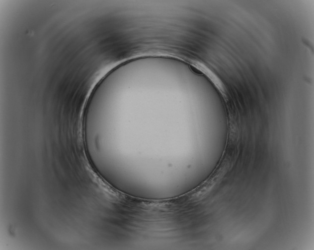 X0000091011004200708241508