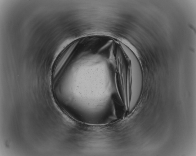 X0000091011005200708241508