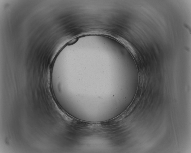 X0000091011006200708241508