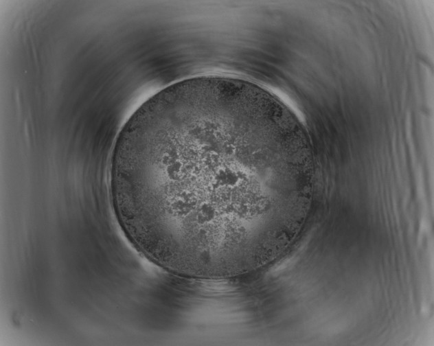 X0000091011007200708241508