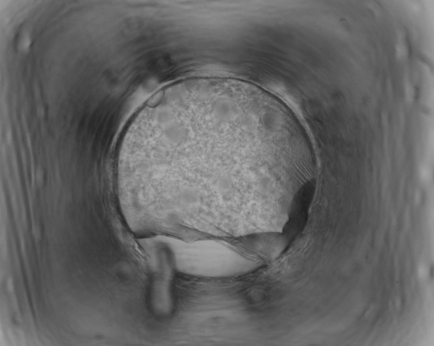 X0000091011008200708241508