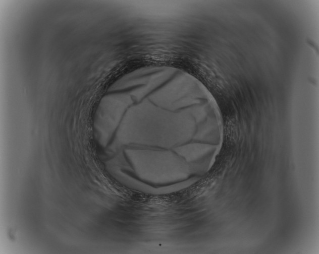 X0000091011009200708241507