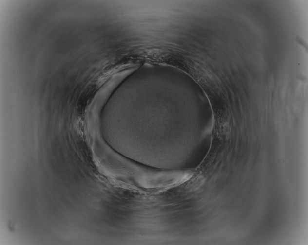 X0000091011010200708241507