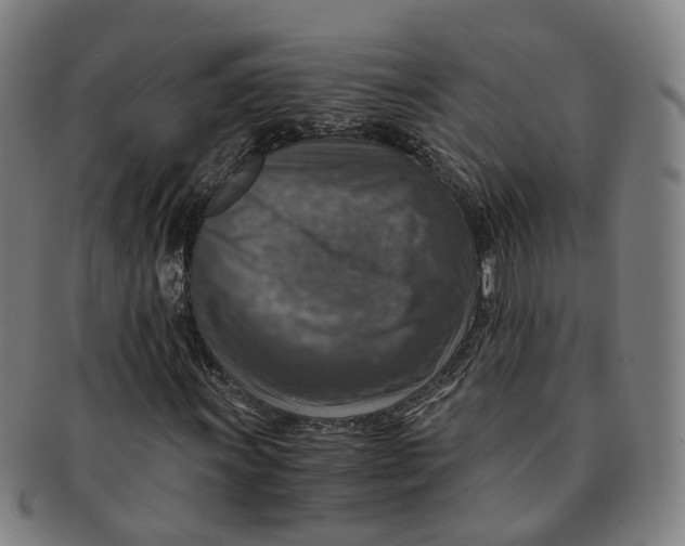 X0000091011011200708241507