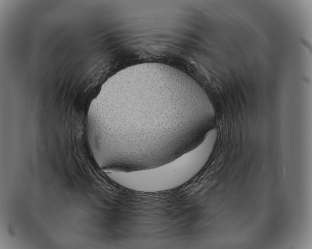 X0000091011012200708241507