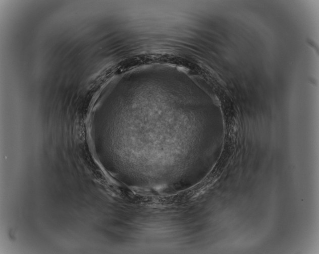 X0000091011014200708241507