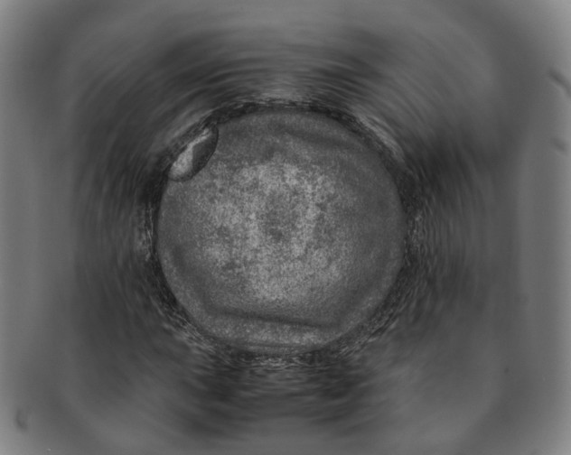 X0000091011015200708241507