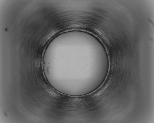 X0000091011017200708241507