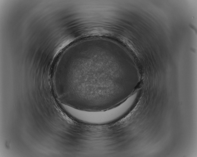 X0000091011018200708241507