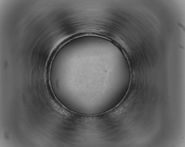 X0000091011020200708241507