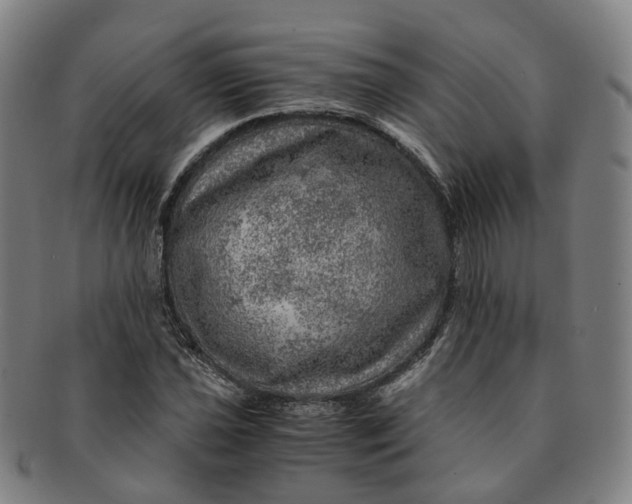 X0000091011021200708241507