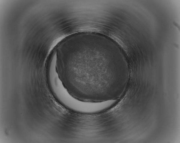 X0000091011022200708241507