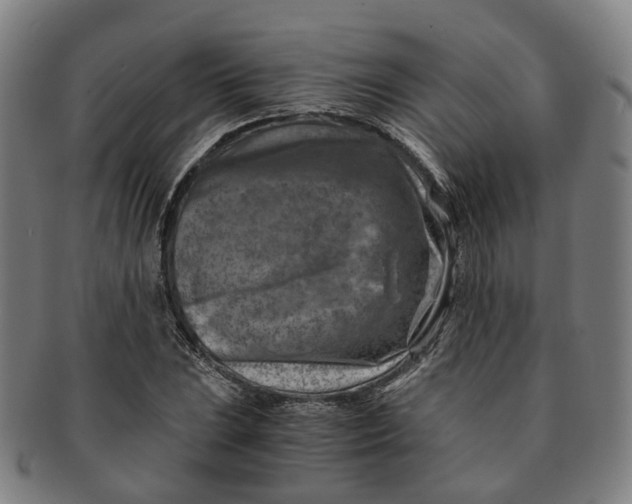 X0000091011023200708241507