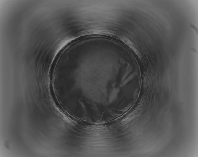 X0000091011024200708241507