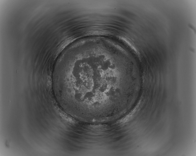 X0000091011025200708241507