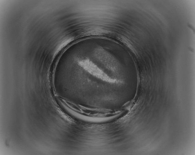 X0000091011026200708241507