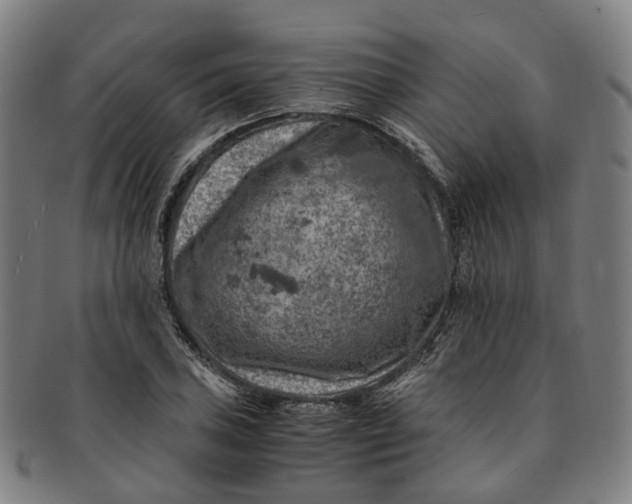 X0000091011027200708241507