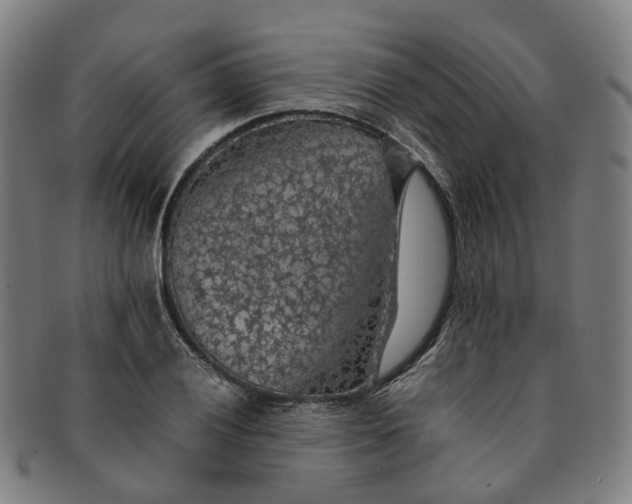 X0000091011028200708241507