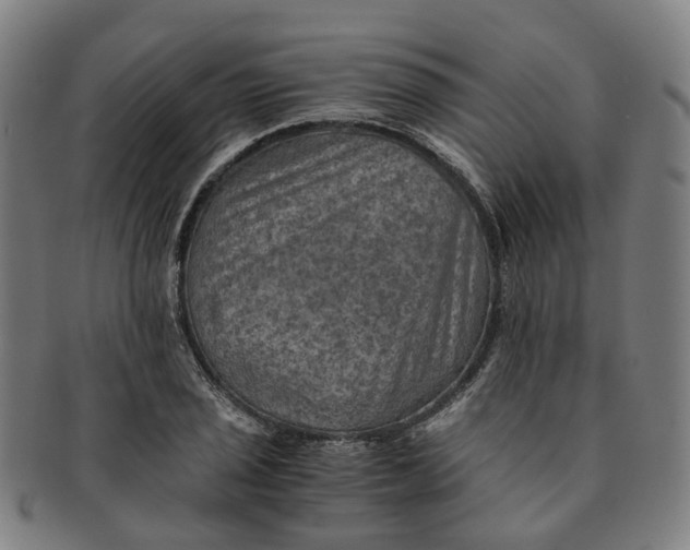 X0000091011029200708241507