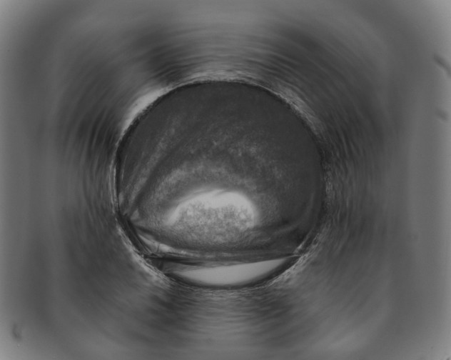 X0000091011030200708241507